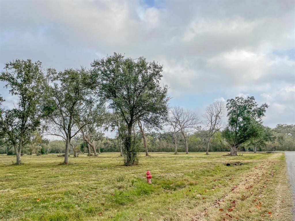 Denise Street, West Columbia, Texas image 7