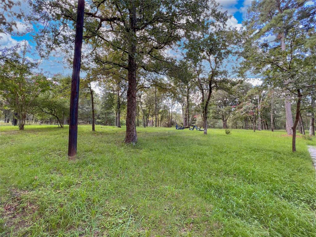 15560 Serendipity Trail, Plantersville, Texas image 35