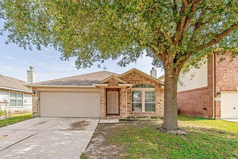 11230 Chelsea Oak Street Houston TX 77065