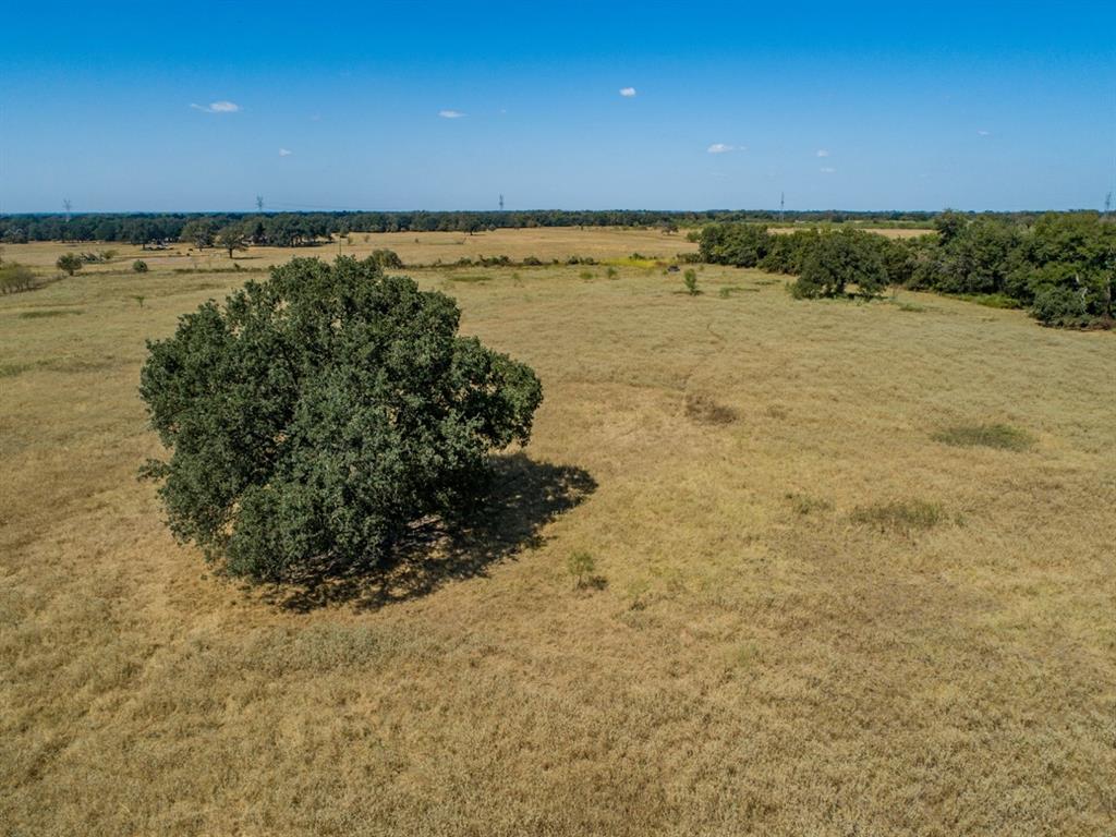 TBD Old Hwy, Calvert, Texas image 9