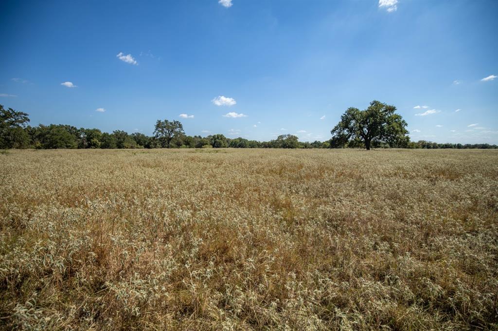 TBD Old Hwy, Calvert, Texas image 18