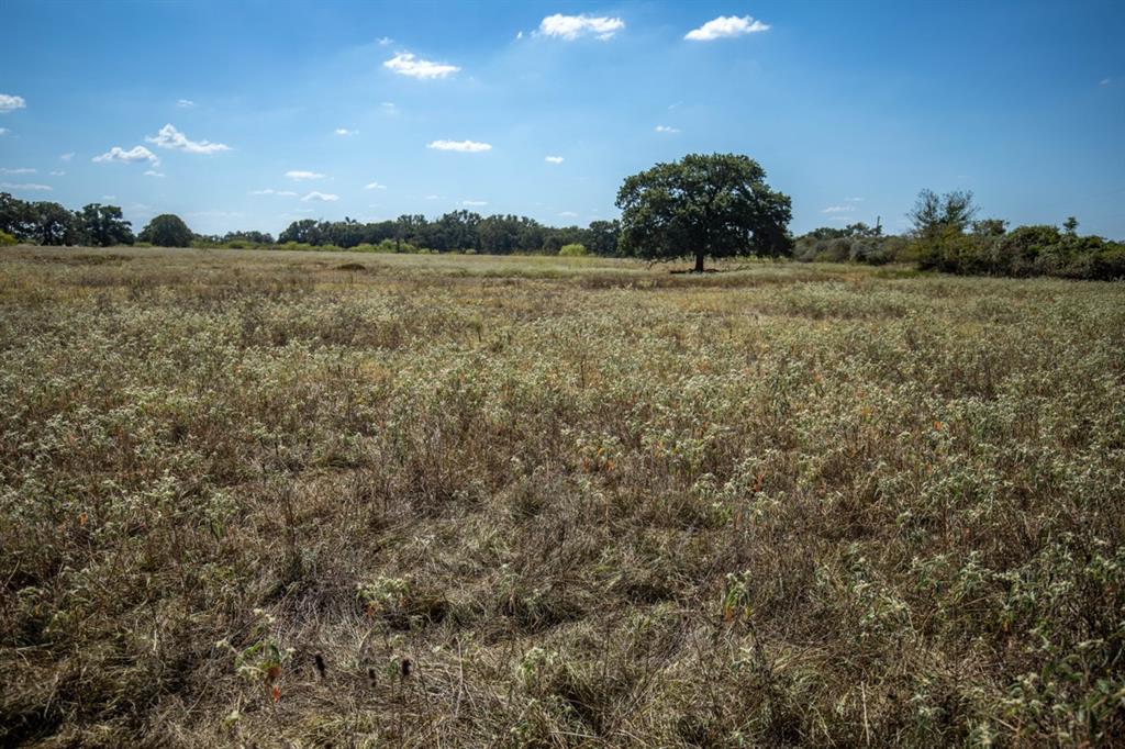 TBD Old Hwy, Calvert, Texas image 14