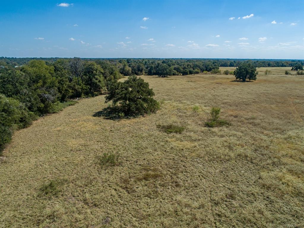 TBD Old Hwy, Calvert, Texas image 6