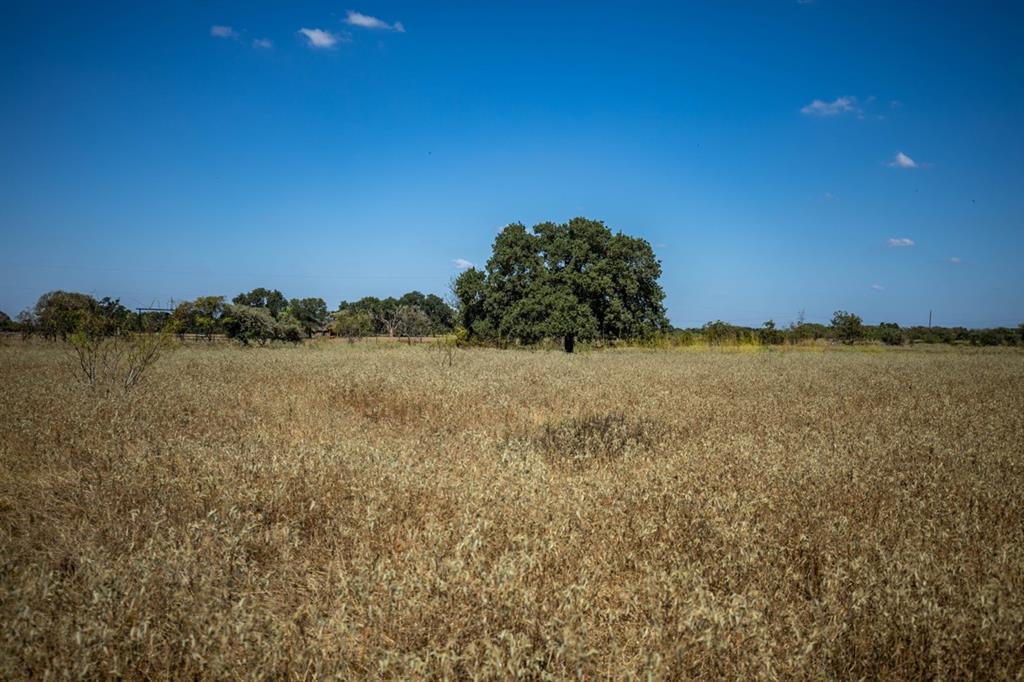 TBD Old Hwy, Calvert, Texas image 13