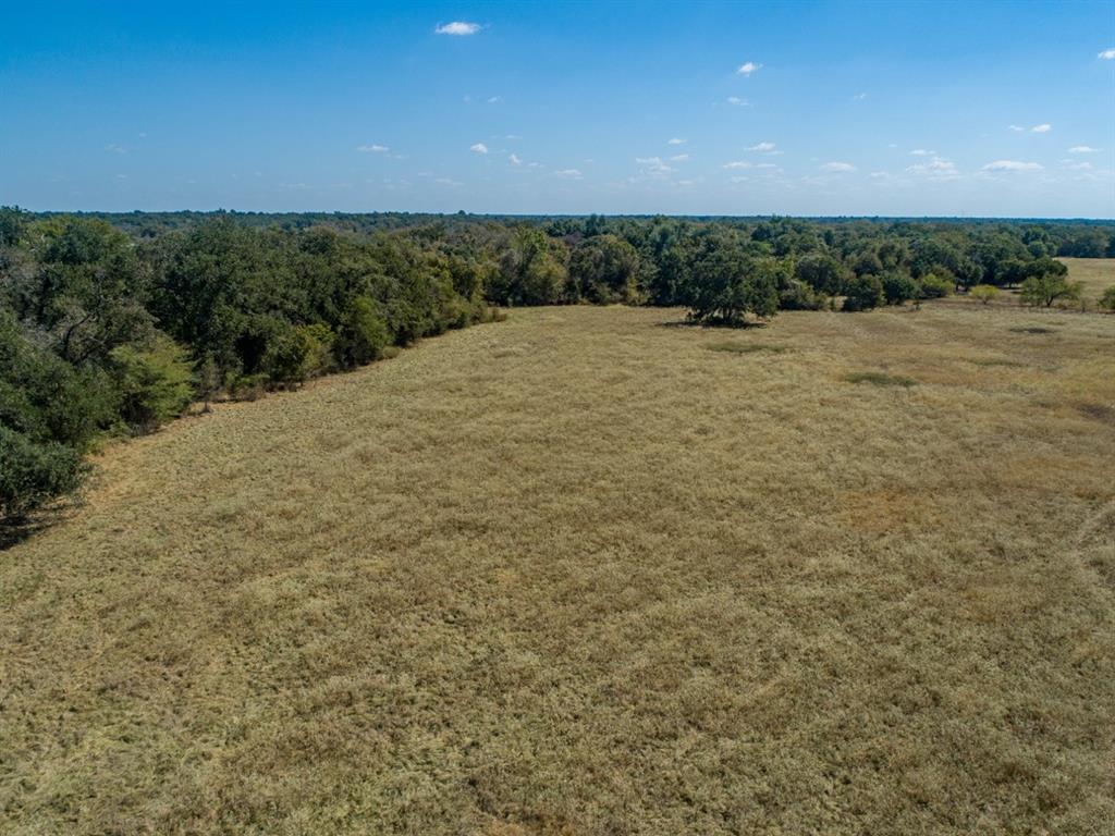 TBD Old Hwy, Calvert, Texas image 7