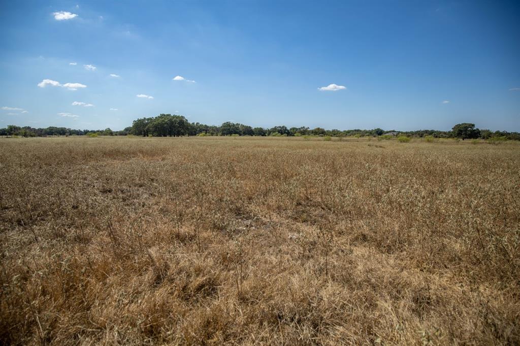 TBD Old Hwy, Calvert, Texas image 17