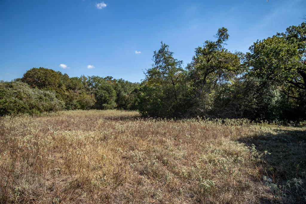 TBD Old Hwy, Calvert, Texas image 19