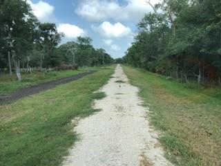 County Road 306, Brazoria, Texas image 8