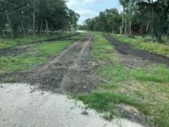 County Road 306, Brazoria, Texas image 10