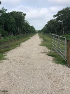 County Road 306, Brazoria, Texas image 9