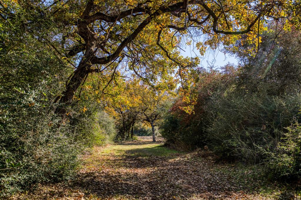 9020 Iron Bridge Road, Burton, Texas image 42