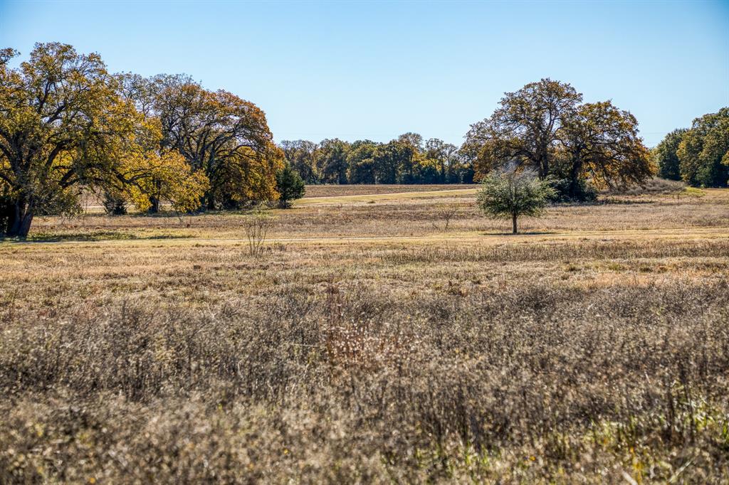 9020 Iron Bridge Road, Burton, Texas image 45