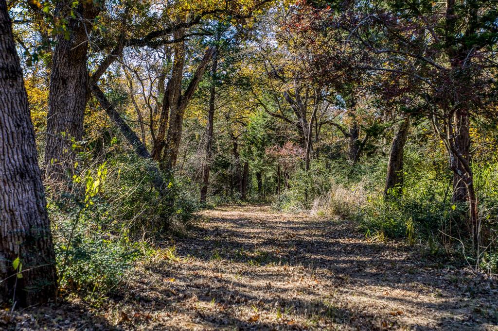 9020 Iron Bridge Road, Burton, Texas image 48