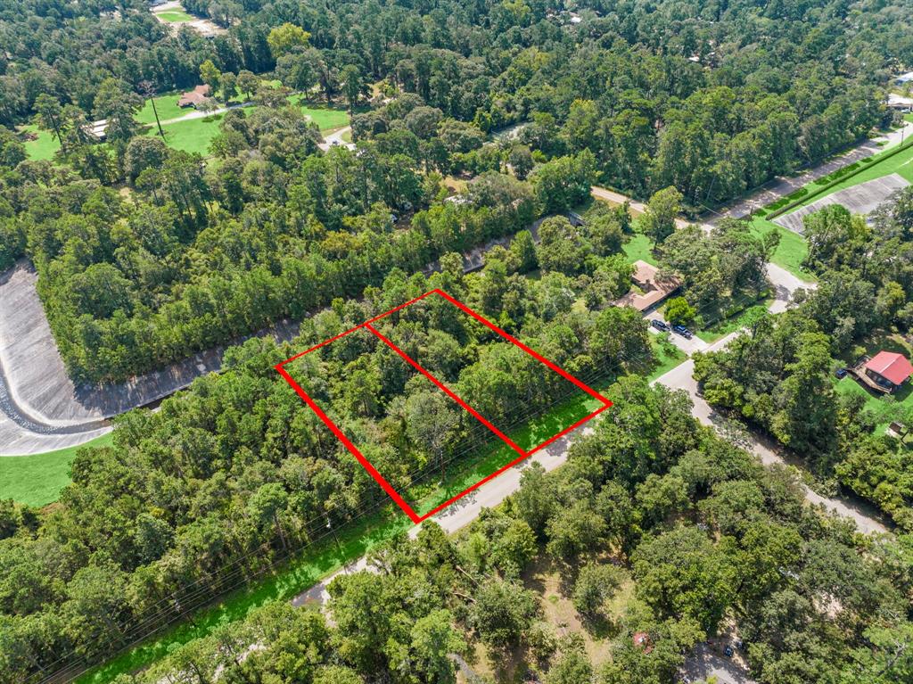 TBD Lexington Drive, Conroe, Texas image 3