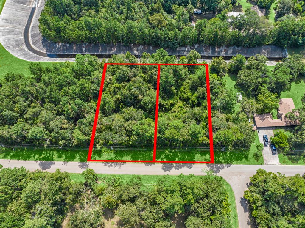 TBD Lexington Drive, Conroe, Texas image 1