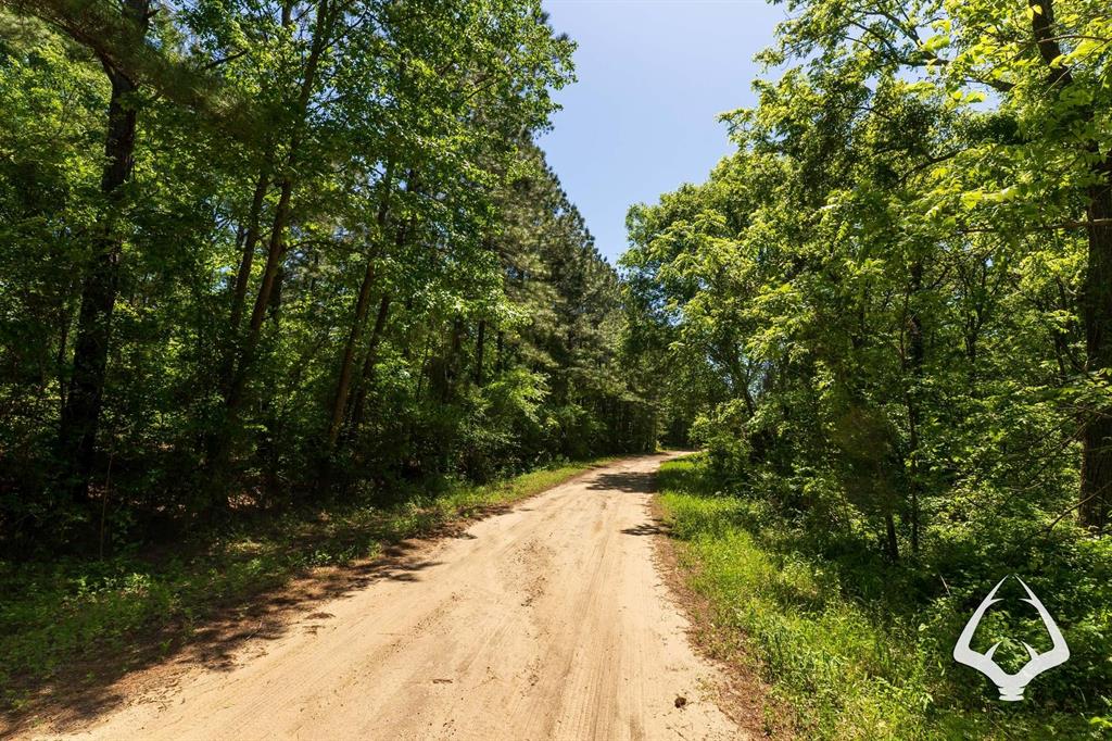 TBD County Road 177, Garrison, Texas image 37