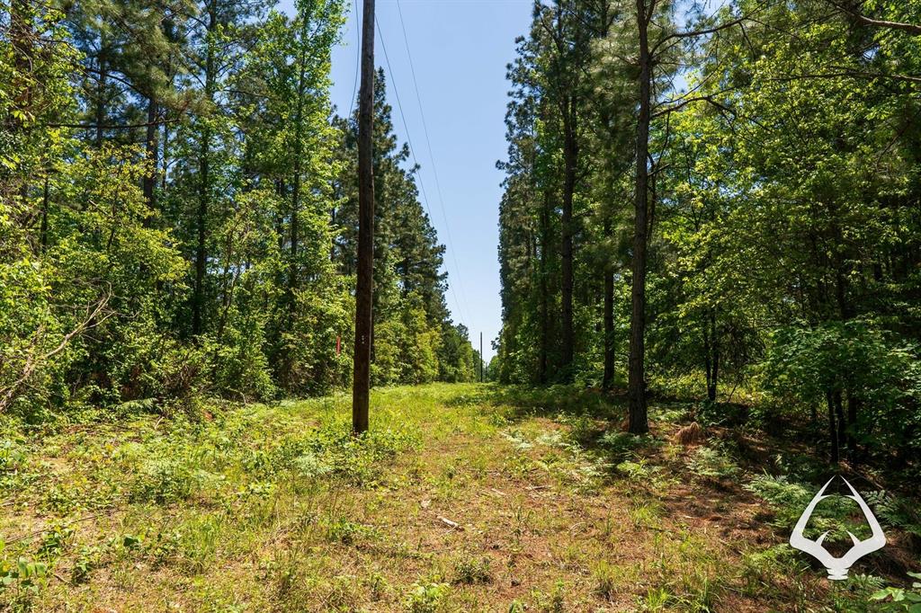 TBD County Road 177, Garrison, Texas image 38