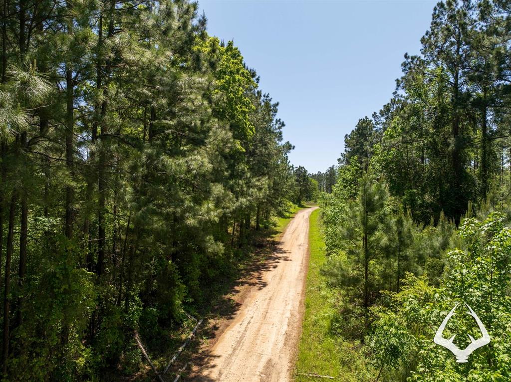 TBD County Road 177, Garrison, Texas image 29
