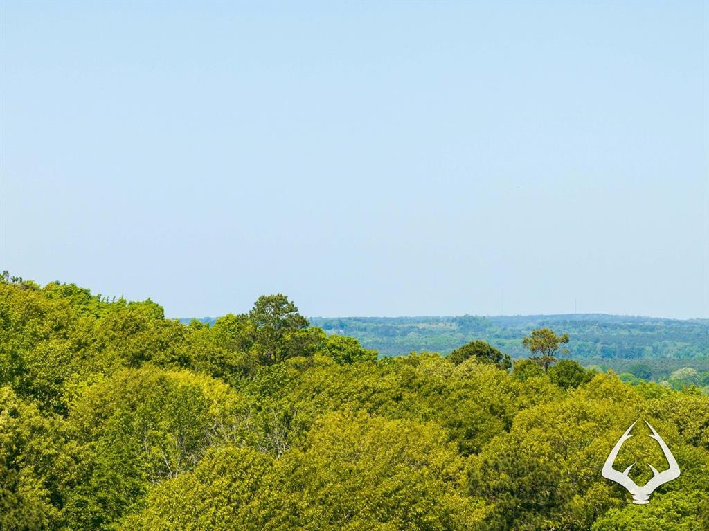 TBD County Road 177, Garrison, Texas image 40