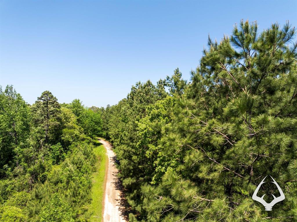 TBD County Road 177, Garrison, Texas image 42