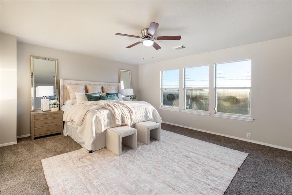 2907 Feather Green Trail, Fresno, Texas image 23