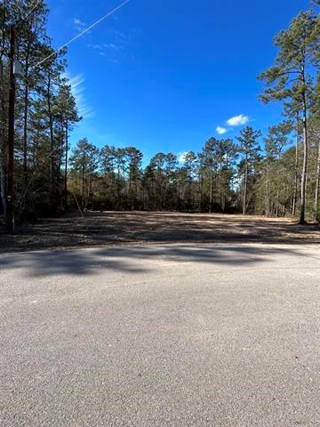 10820 Rock Creek Ridge Road Dr, Lumberton, Texas image 2