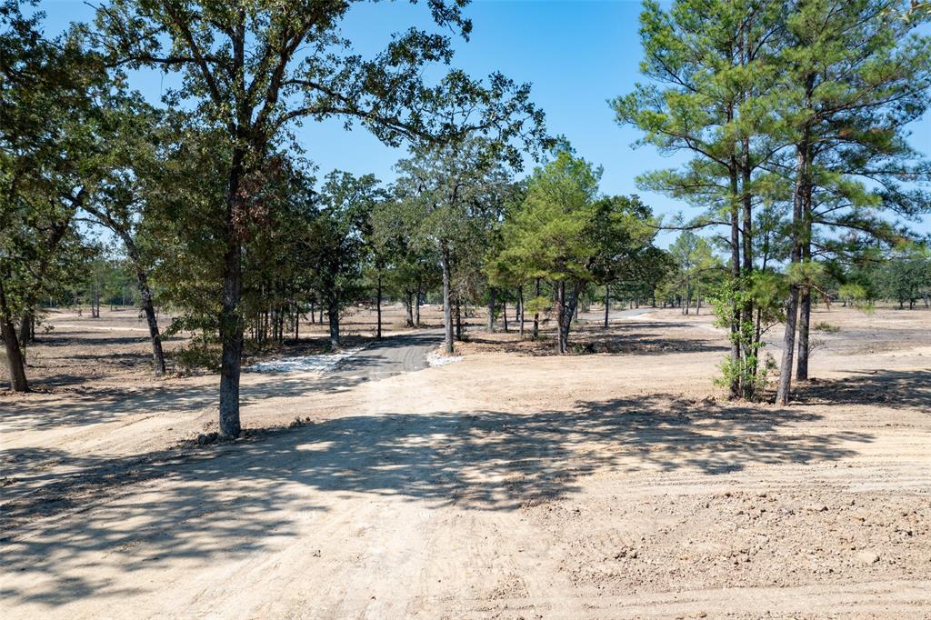 28664 Kyle Road, Waller, Texas image 17