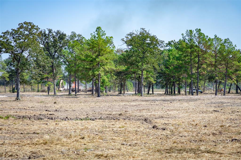 28664 Kyle Road, Waller, Texas image 4