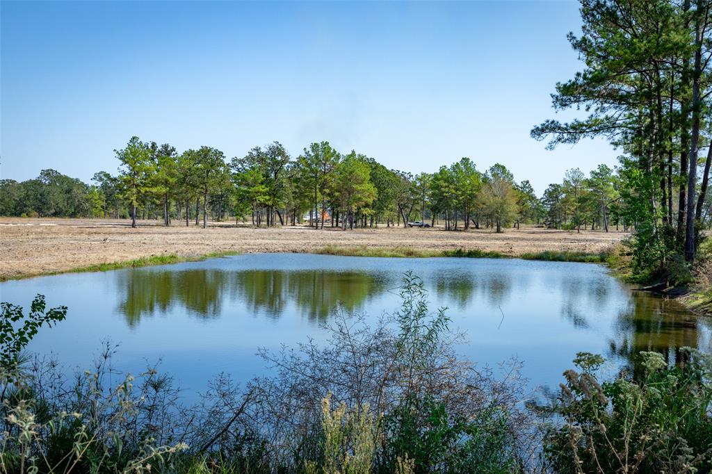 28664 Kyle Road, Waller, Texas image 18