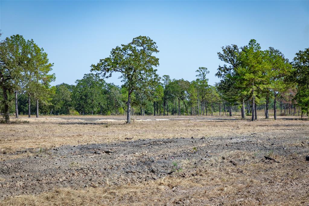 28664 Kyle Road, Waller, Texas image 5