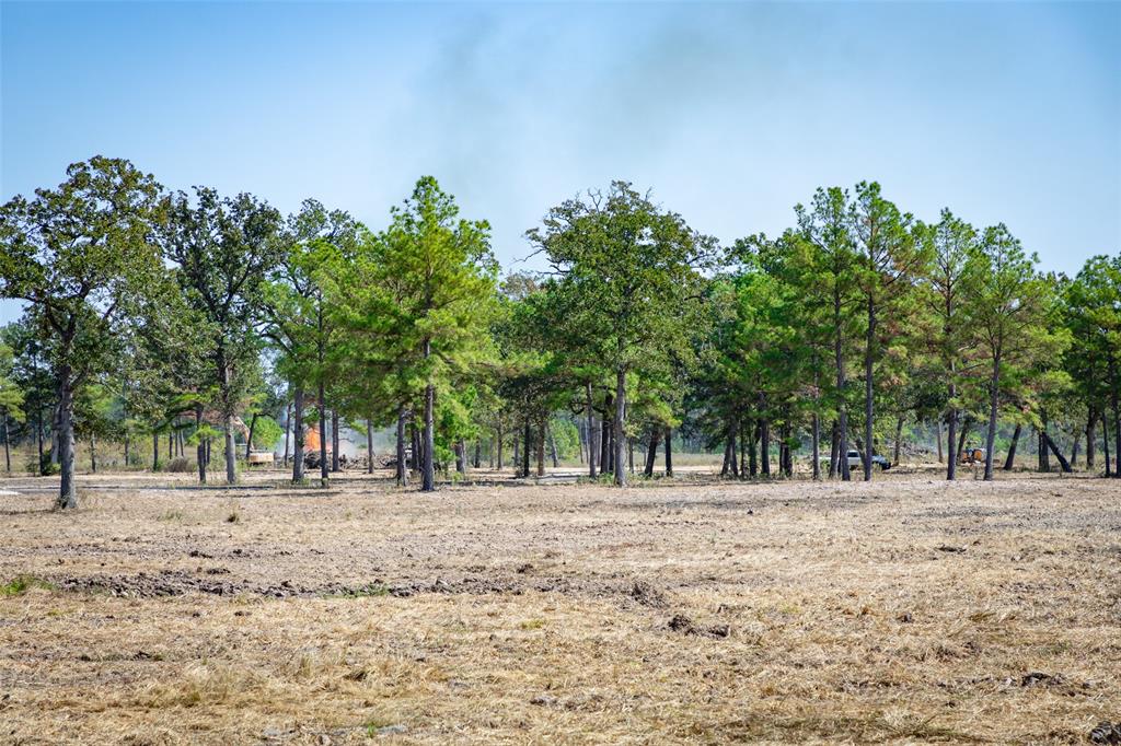 28664 Kyle Road, Waller, Texas image 9