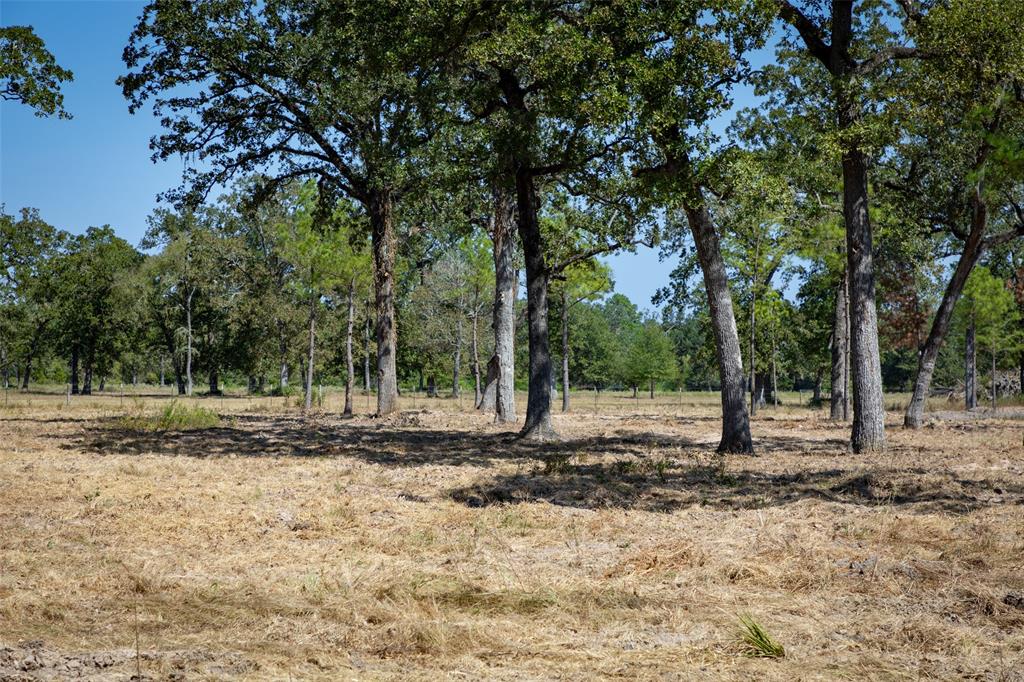 28664 Kyle Road, Waller, Texas image 7