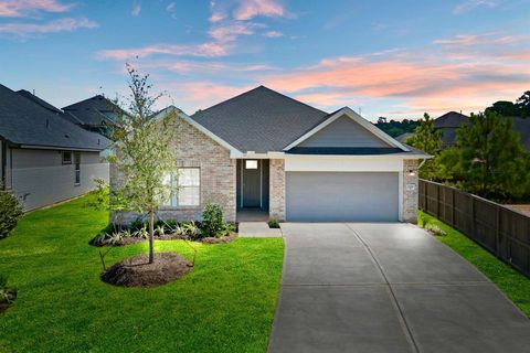 2818 Terrace Grove Drive Conroe TX 77304
