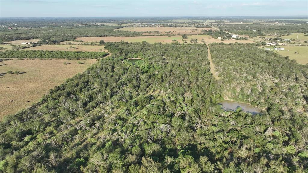 000 Kerr Road, Brookshire, Texas image 23