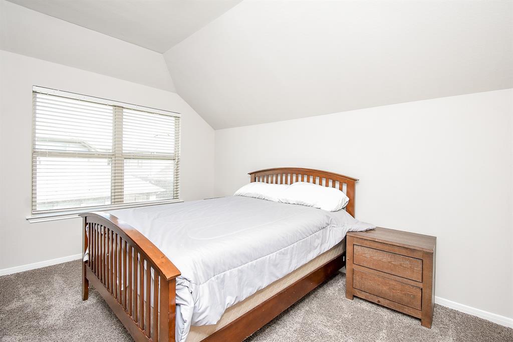 12006 Sambuco Court, Richmond, Texas image 22