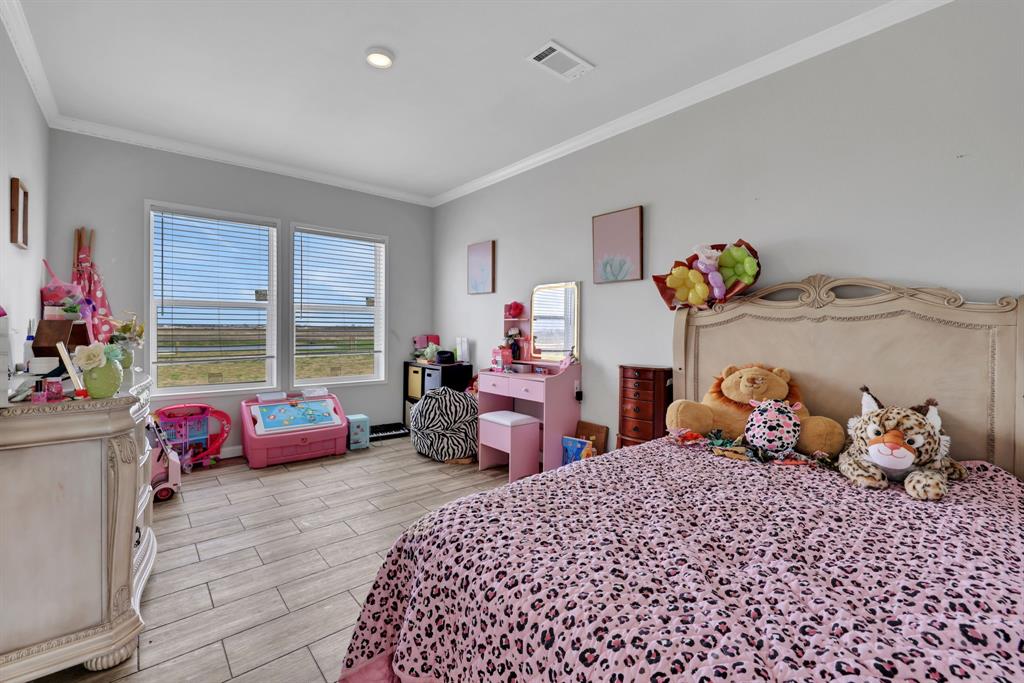 14830 Vacek Street, Santa Fe, Texas image 22