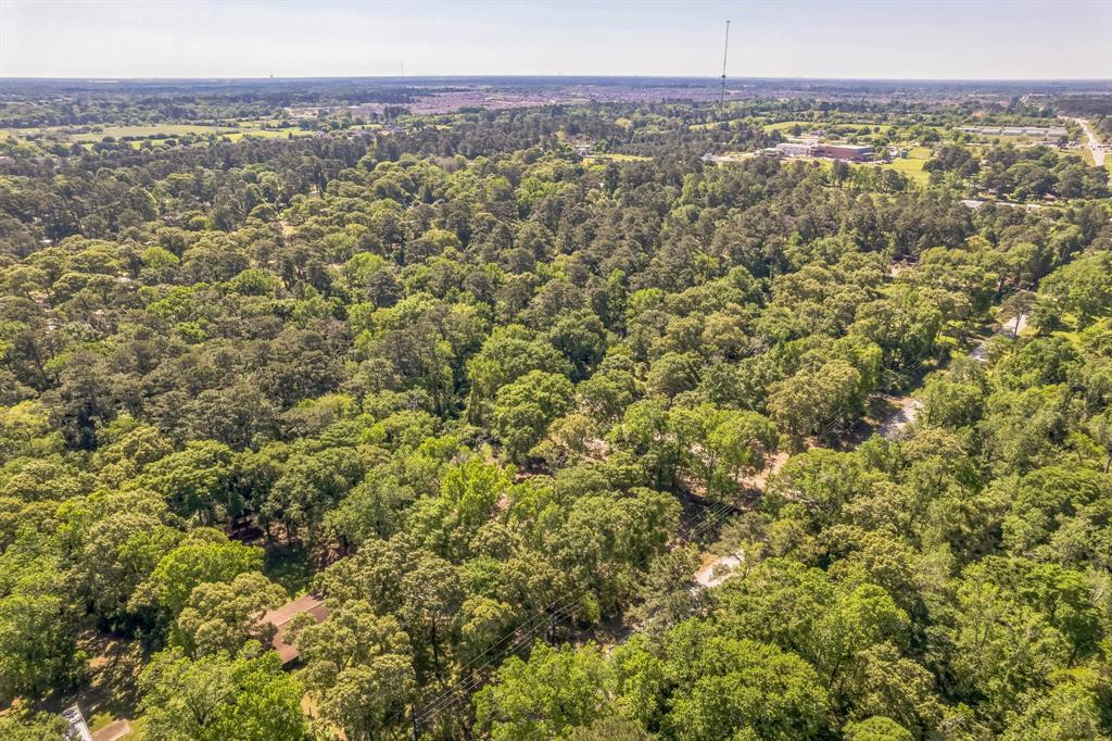 22534 Mueschke Road, Tomball, Texas image 13