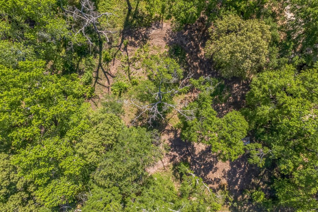 22534 Mueschke Road, Tomball, Texas image 9