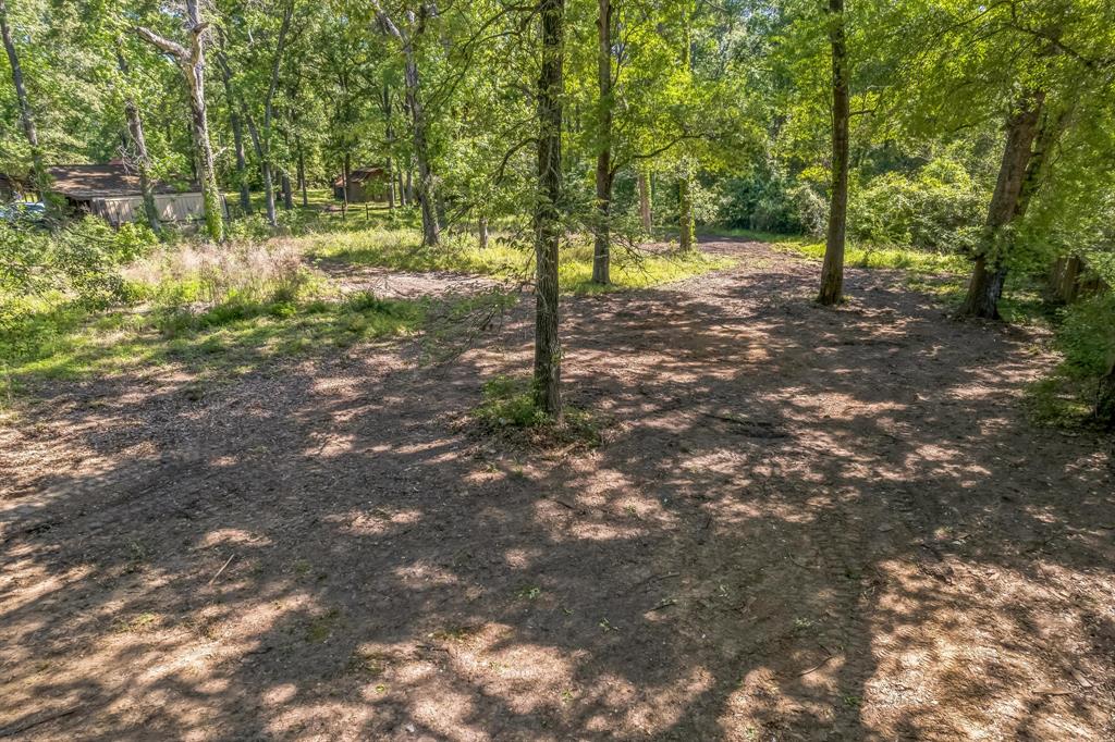 22534 Mueschke Road, Tomball, Texas image 5