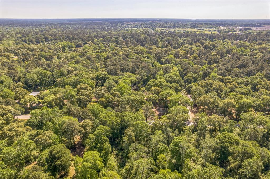 22534 Mueschke Road, Tomball, Texas image 14