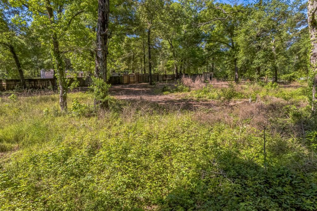 22534 Mueschke Road, Tomball, Texas image 1