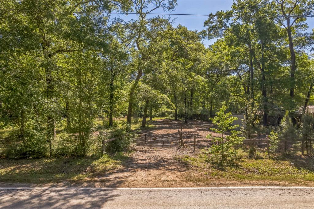 22534 Mueschke Road, Tomball, Texas image 6