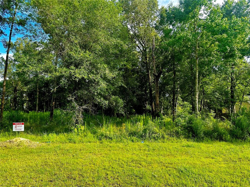 590 Road 6609