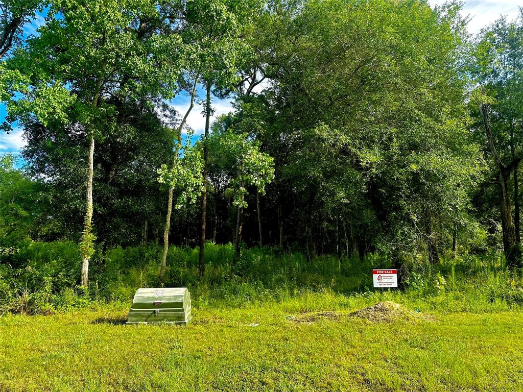 590 Road 6609