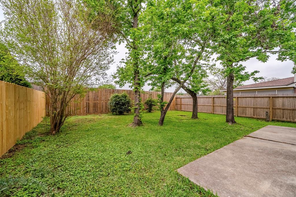 19823 Cypresswood Falls, Spring, Texas image 23