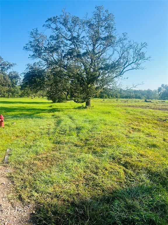 33211 Blue Marlin Drive, Richwood, Texas image 8