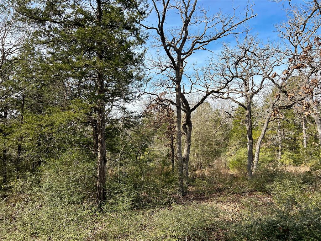 TBD Cr 389, Jewett, Texas image 6