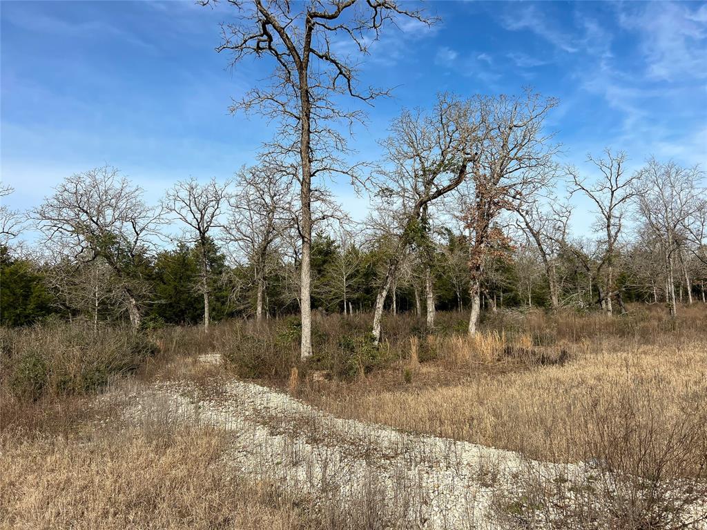 TBD Cr 389, Jewett, Texas image 3