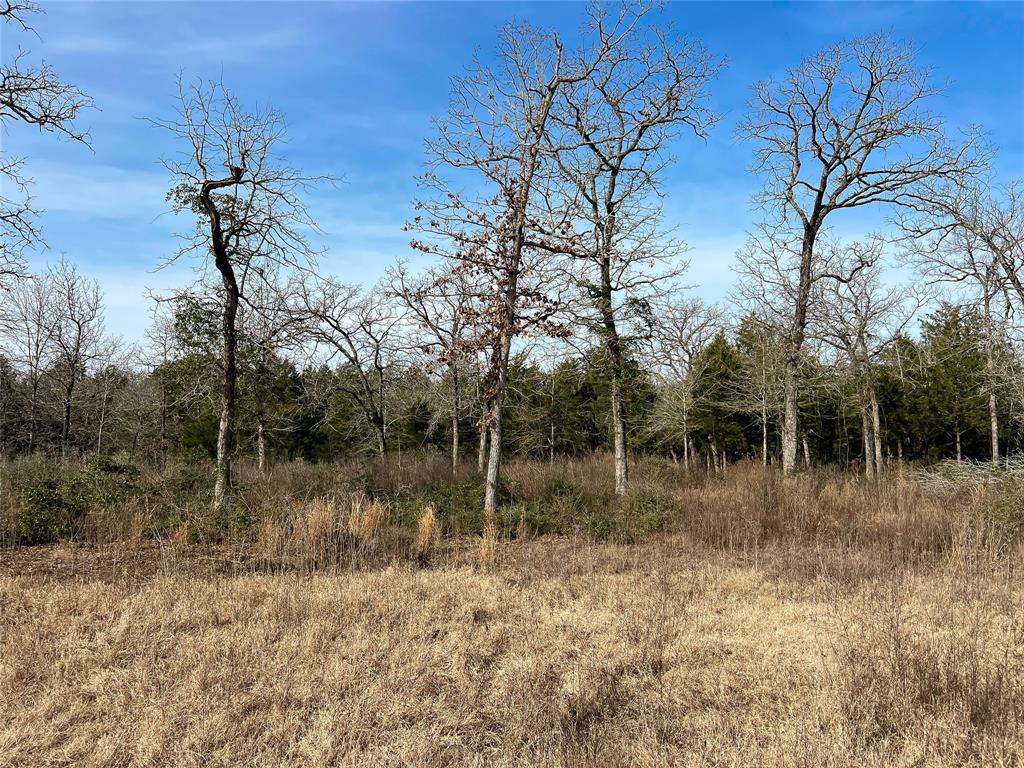 TBD Cr 389, Jewett, Texas image 4