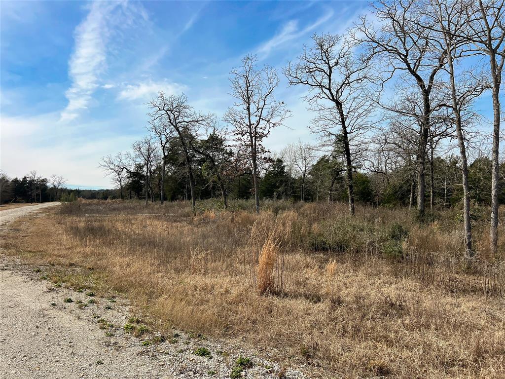 TBD Cr 389, Jewett, Texas image 2